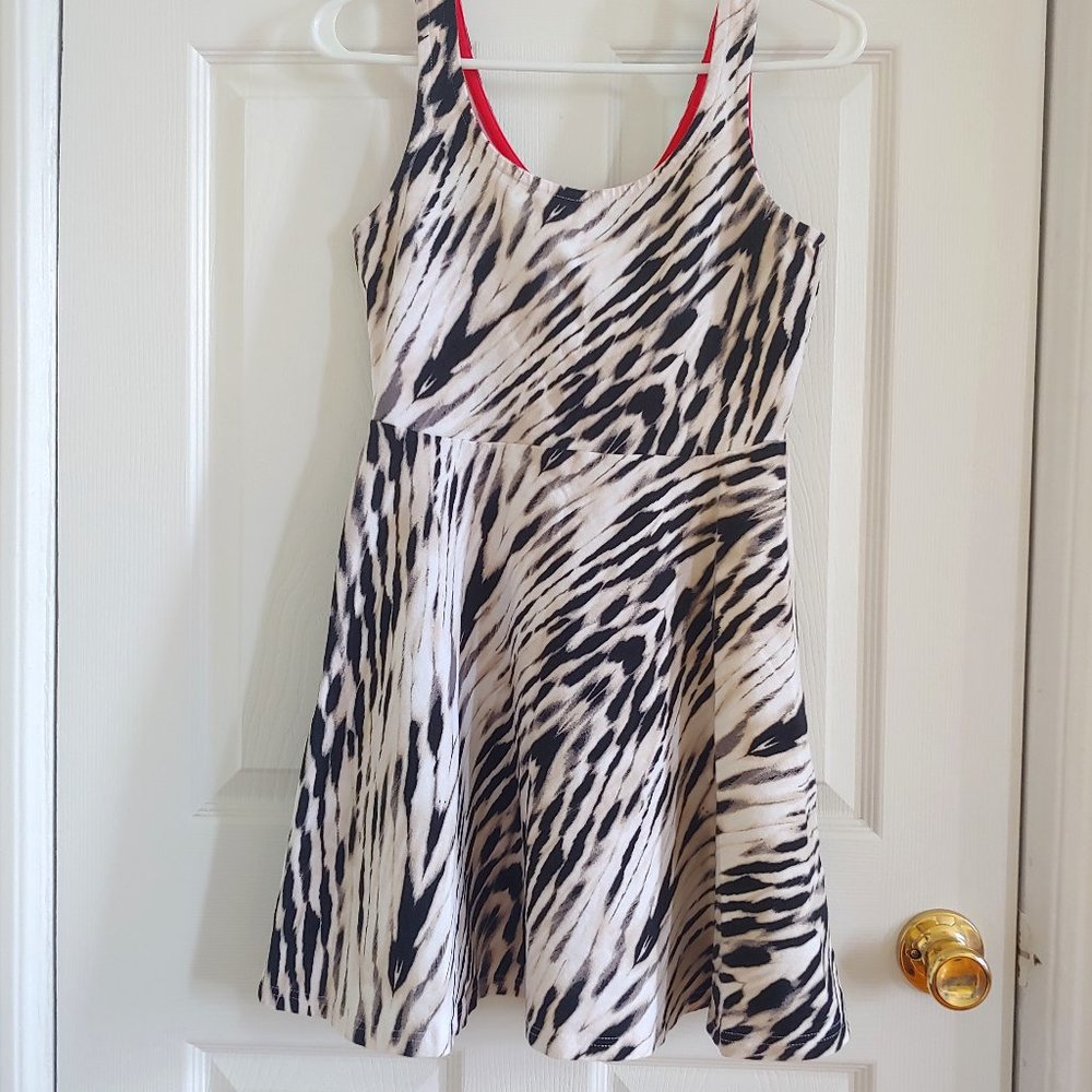 Express Black & White Skater Dress